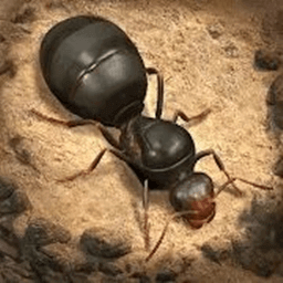 荒野蚂蚁模拟手机版
